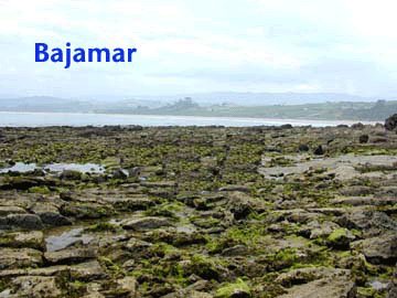animación gif de las mareas