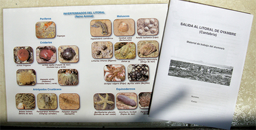 Guía de invertebrados y cuaderno de campo