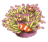 gif animado anémona