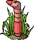 annelid animated gif