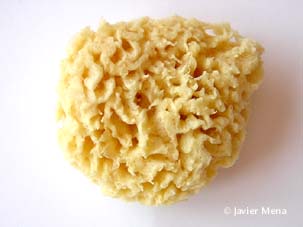 esponja de ba&ntilde;o