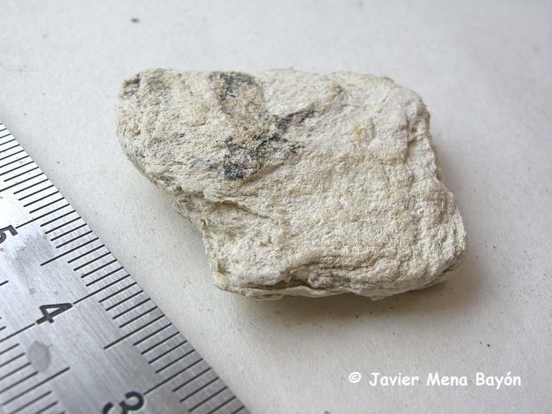 palygorskita