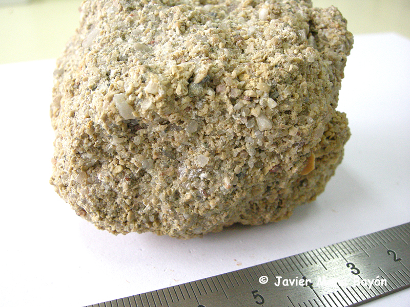 Arenisca