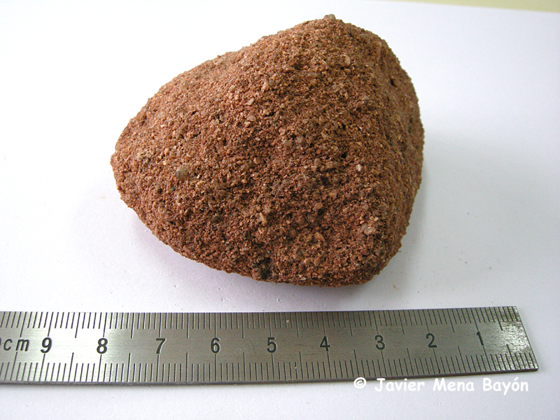 Arenisca
